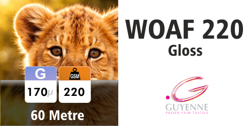 Guyenne WOAF220 Gloss 220g 1372mm - 60m