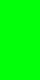 Neon Green (A4)